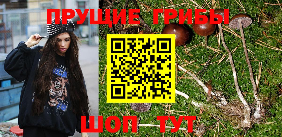 Галлюциногенные грибы Cubensis  Вход с VPN  Псилоцибиновые грибы Psilocybine cubensis  Калач-на-Дону 